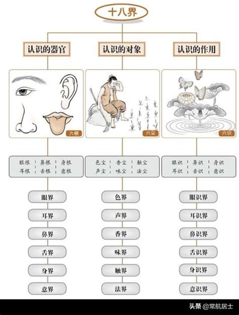 十二處意思|十二處的意思